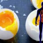 Descopera cele 9 transformari miraculoase ale corpului tau cand consumi doua oua zilnic